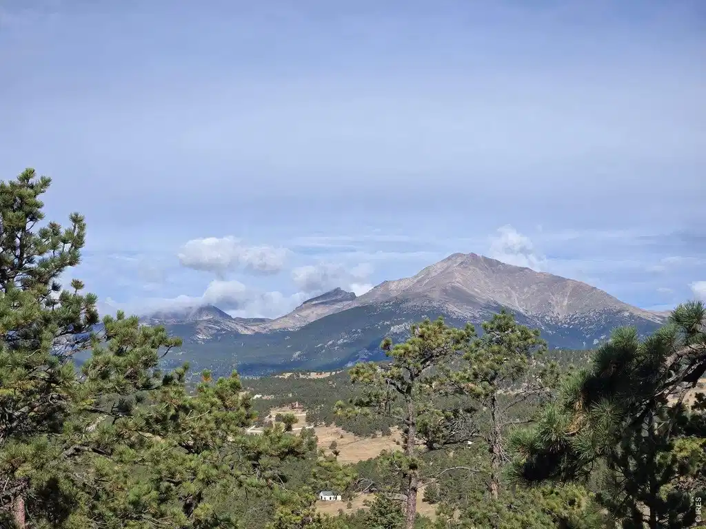 Image 1 Image 1