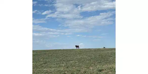 0 County Road 35