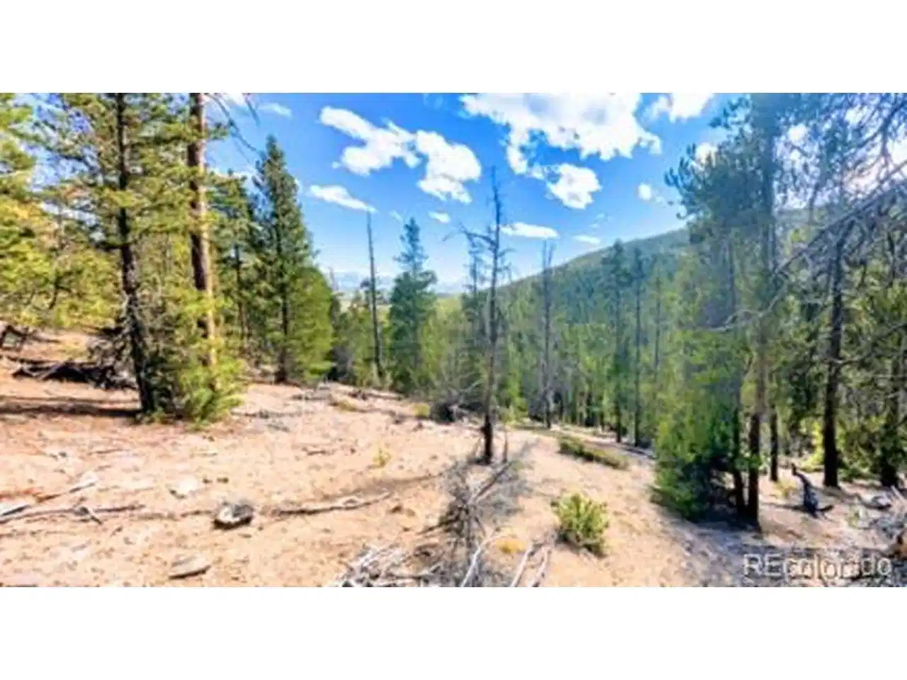 Image 1 Image 1