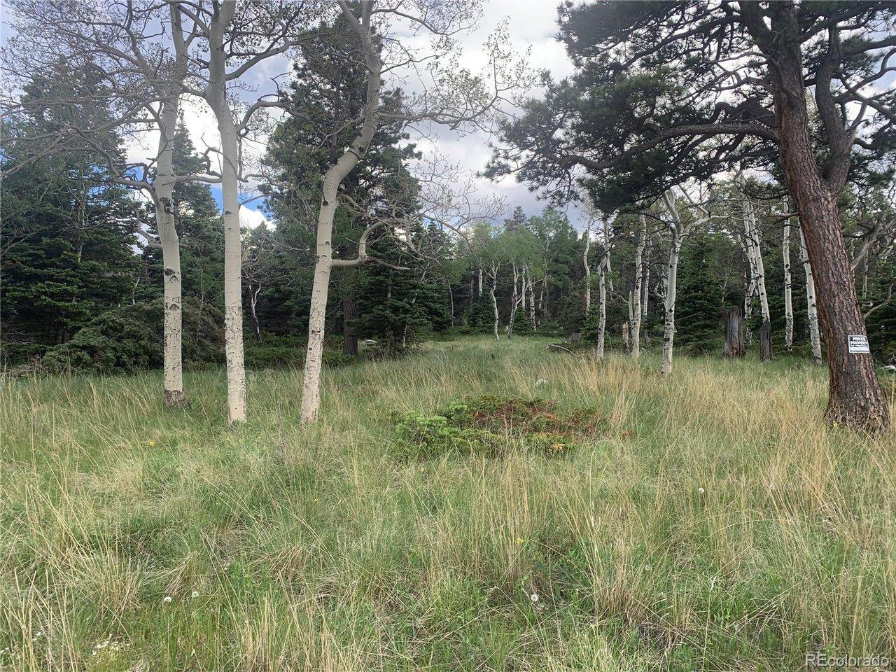 Image 3: View of Lot 3 Image 3: View of Lot 3