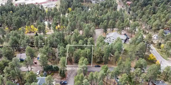 Image 4 Image 4