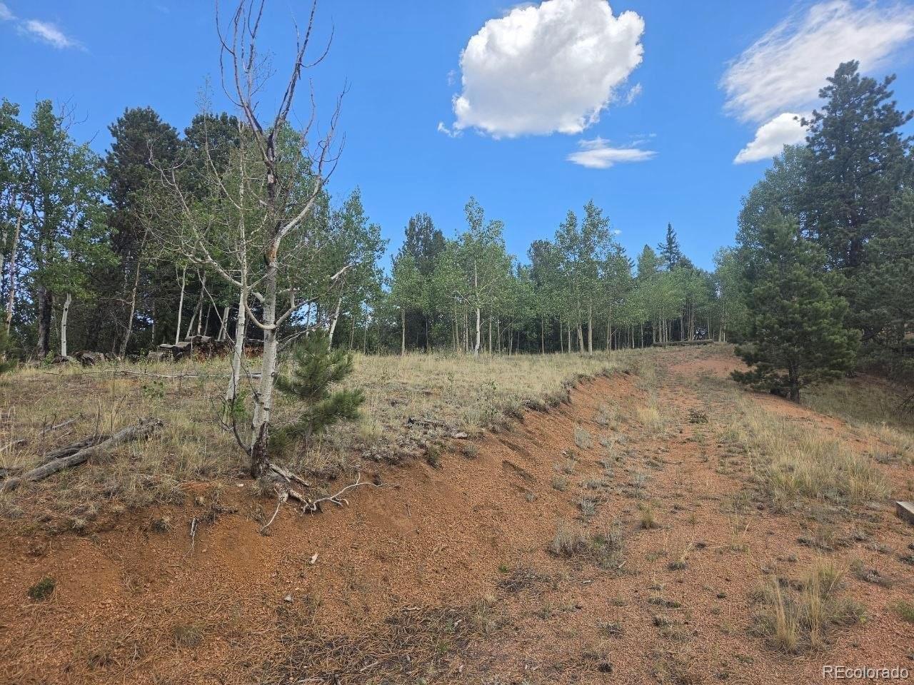 Image 3: Dirt driveway. Image 3: Dirt driveway.