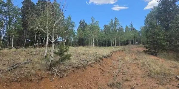 Image 3: Dirt driveway. Image 3: Dirt driveway.