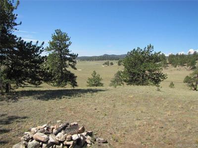 984 Arapahoe Trl