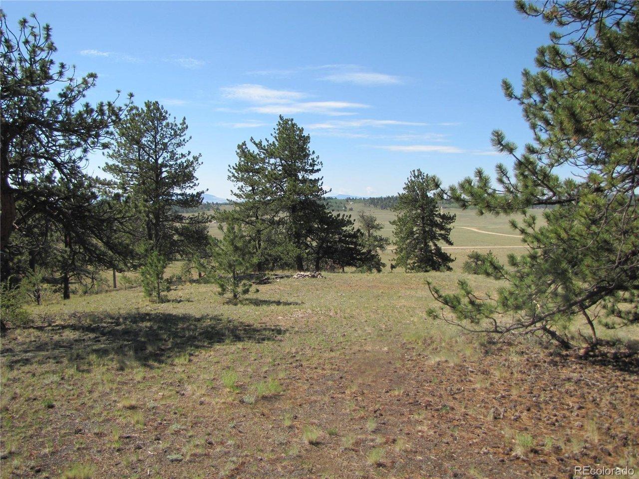 Image 3 Image 3