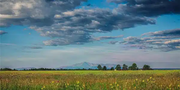 0 Big Sky Trl
