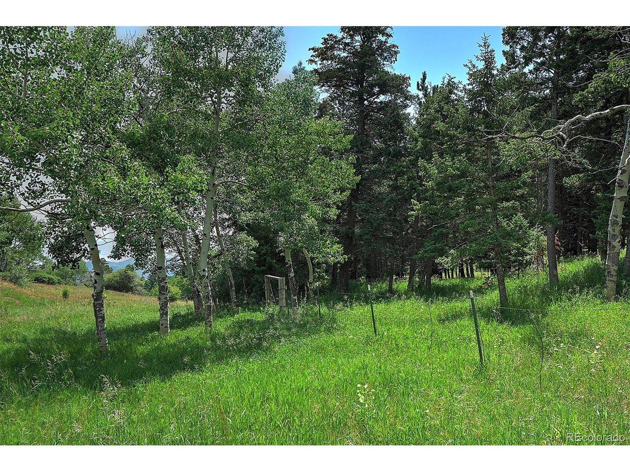 Image 2: Aspen grove and walking along part of the south boundary fence Image 2: Aspen grove and walking along part of the south boundary fence