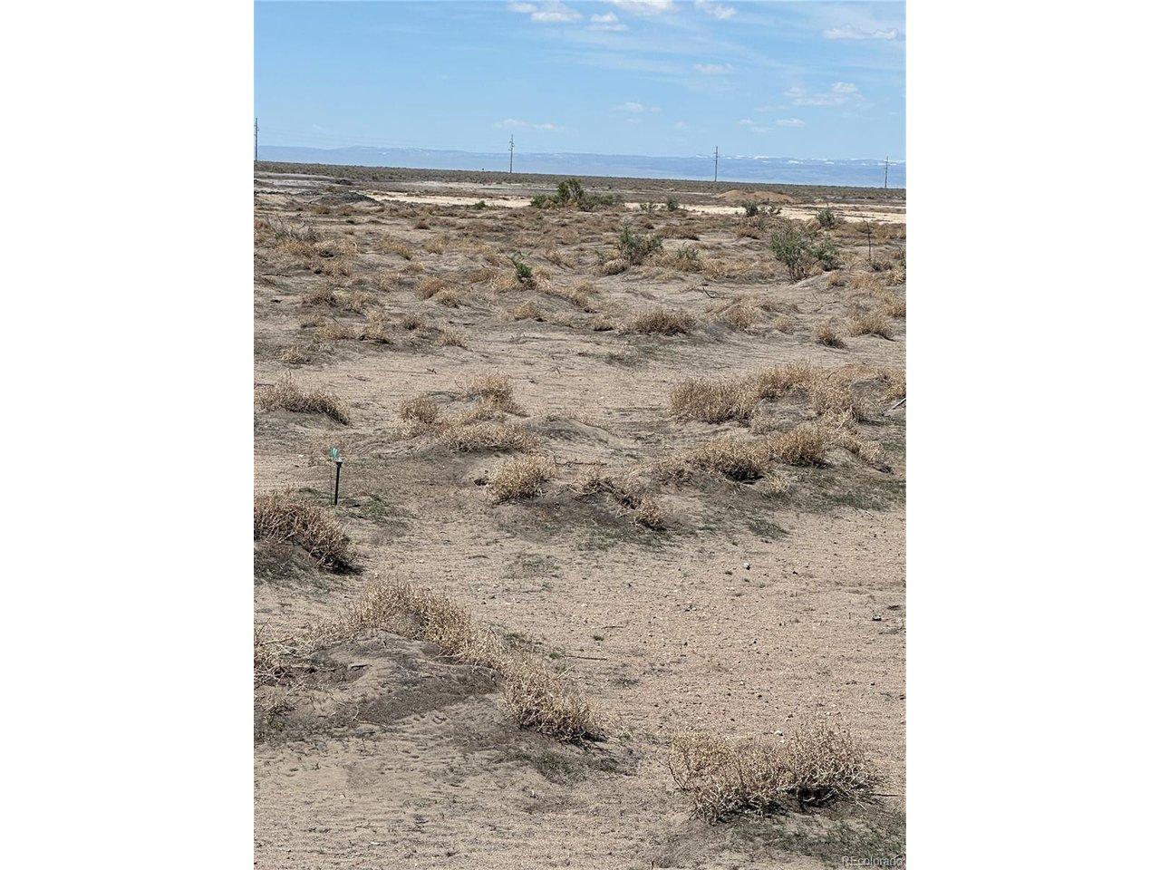 Image 4 Image 4