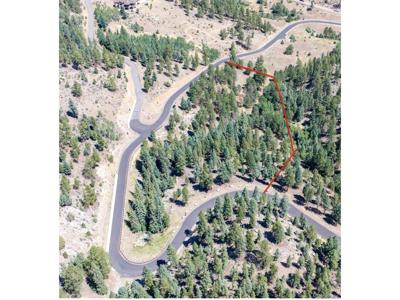 14850 Quandary Peak Rd