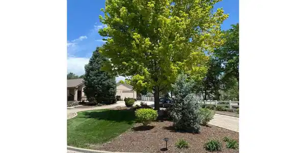 Image 4 Image 4