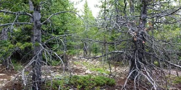 Image 3 Image 3