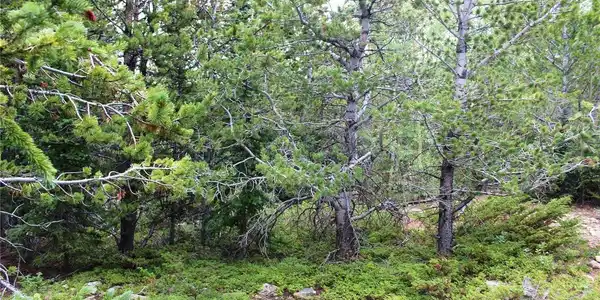 Image 4 Image 4