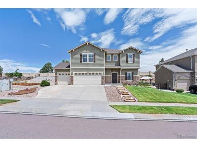1295 Diamond Rim Dr