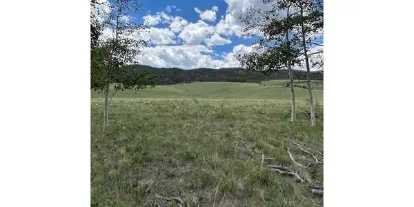 Image 3: Sweet Views