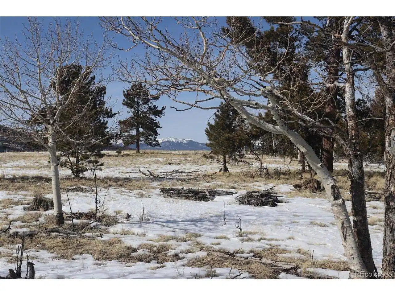 Image 1: Trees and Views!