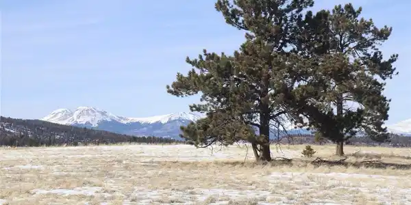 Image 2: Buffalo Peaks Views