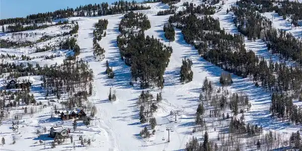 Image 4 Image 4