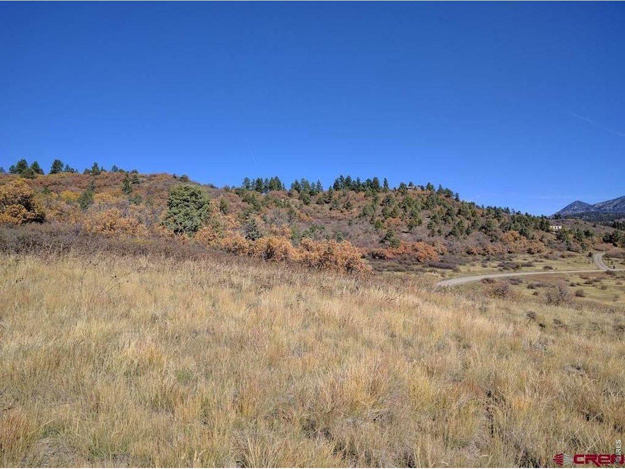Image 4 Image 4
