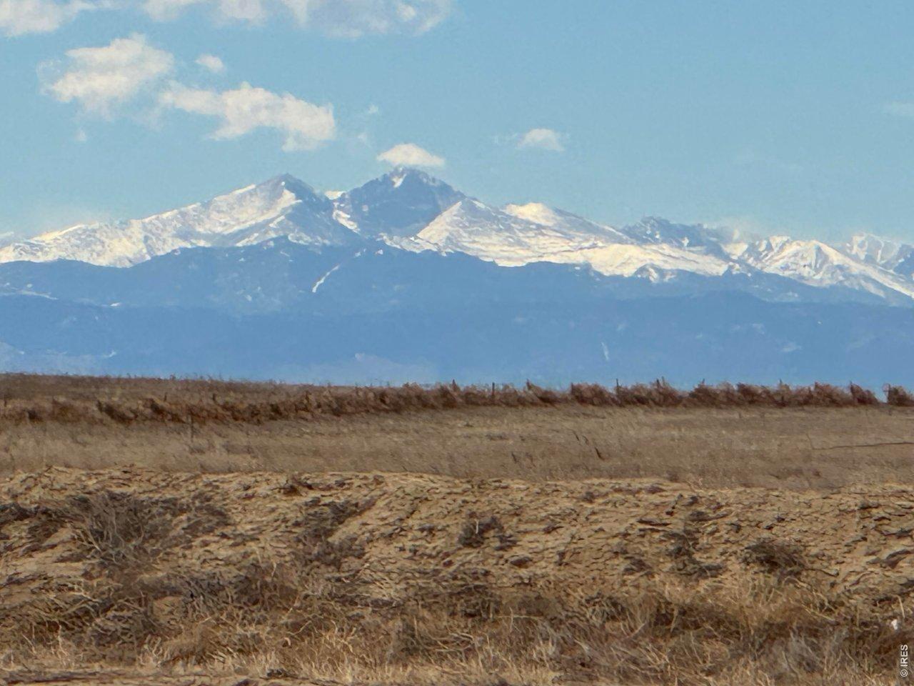 Image 4 Image 4