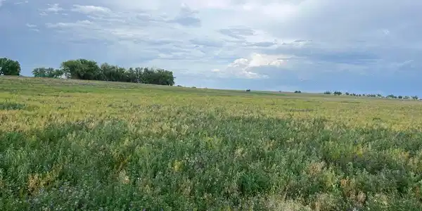 0 County Road 33
