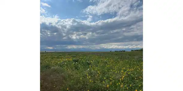 0 County Road 34
