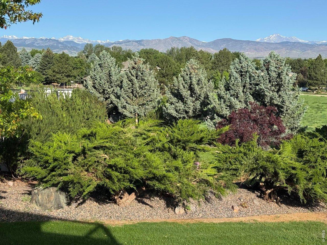Image 4: Indian Peaks and Longs Peak Views From Deck!