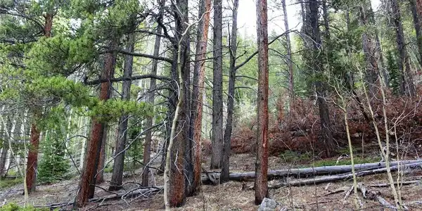 Image 3 Image 3