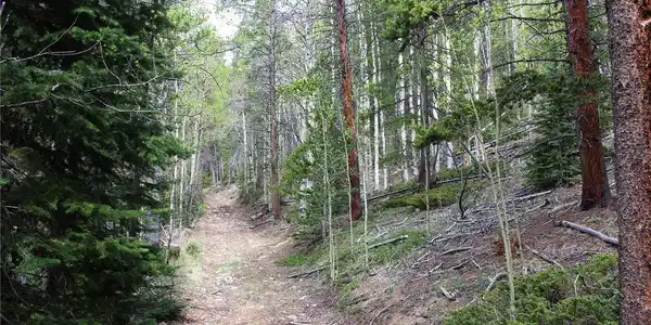 Image 4 Image 4