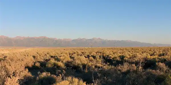 County Road 55