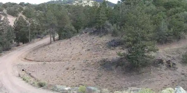 Image 4 Image 4
