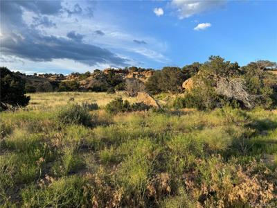 LOT 72 Colorado Land & Grazing Unit BB