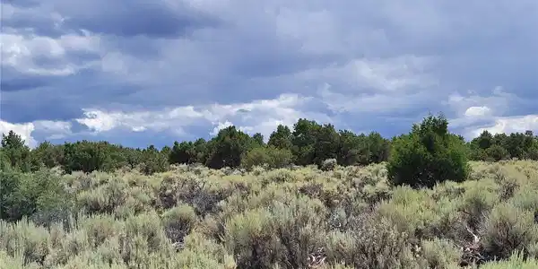 Image 4 Image 4
