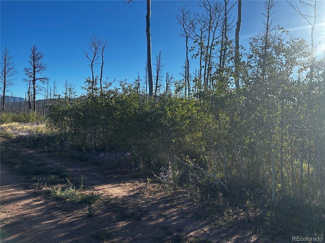 Image 4 Image 4