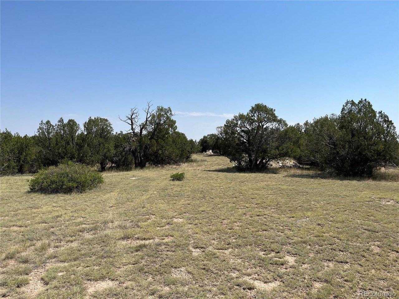 Image 4 Image 4