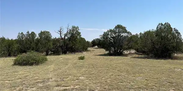 Image 4 Image 4