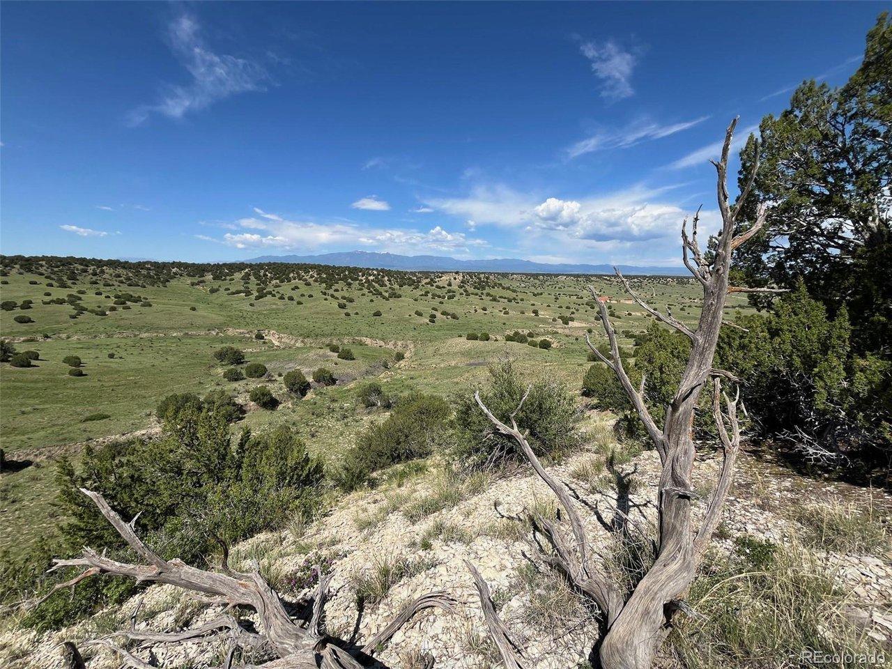 Image 4 Image 4