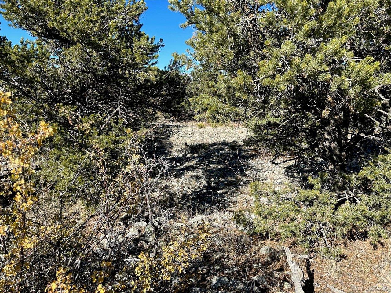 Image 3: A beautiful look into the property, lots of Juniper and Pinion trees. Image 3: A beautiful look into the property, lots of Juniper and Pinion trees.