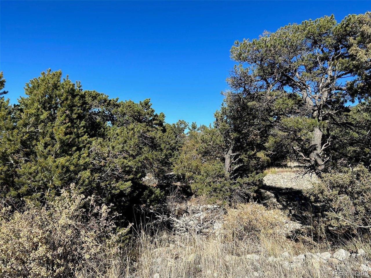 Image 4: Located all throughout the property, there are Ponderosas, Junipers, and Pinon Trees. Image 4: Located all throughout the property, there are Ponderosas, Junipers, and Pinon Trees.