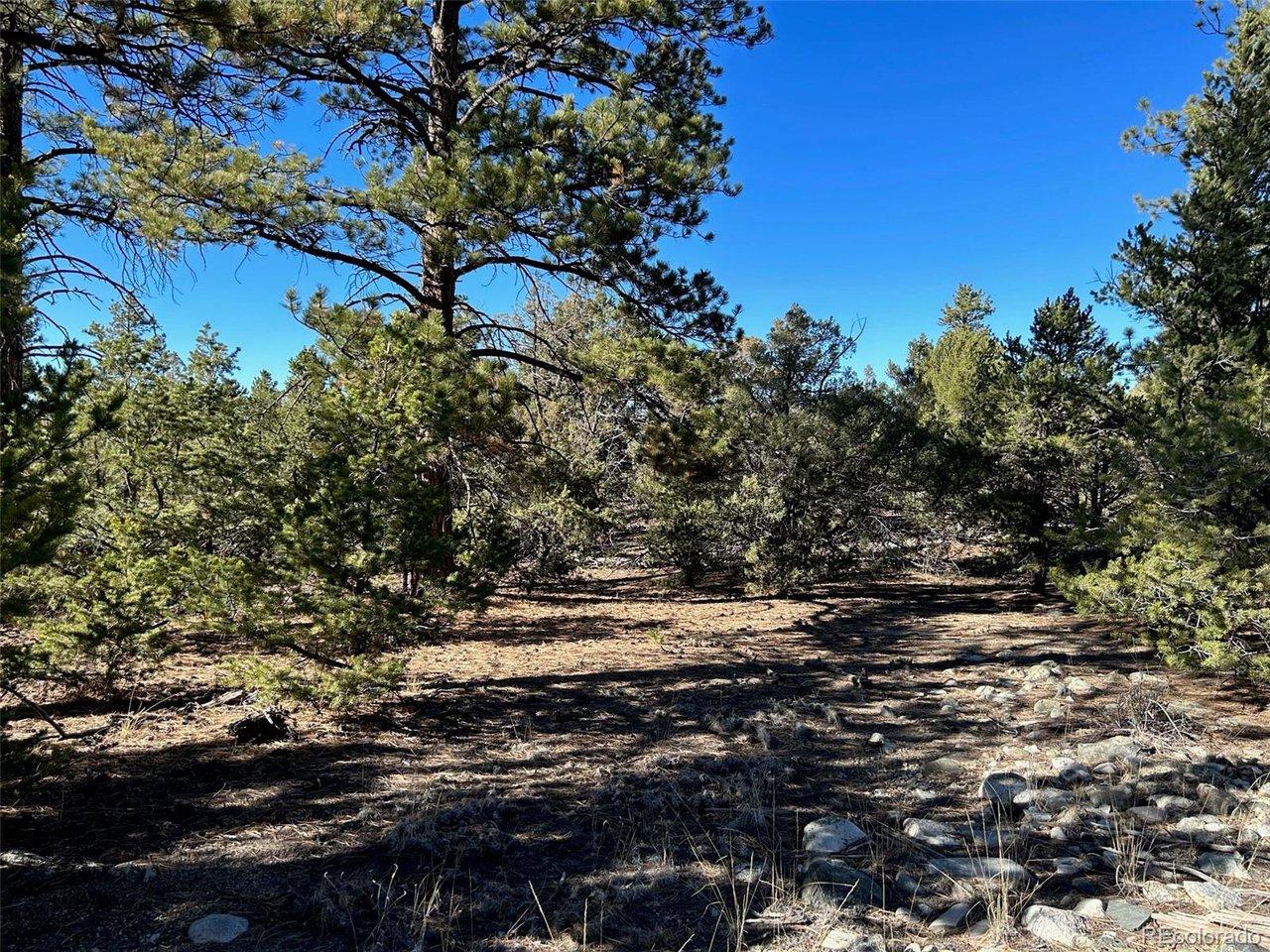 Image 3: A wide range of different trees on this property include Ponderosas, Junipers, and Pinon trees. Image 3: A wide range of different trees on this property include Ponderosas, Junipers, and Pinon trees.