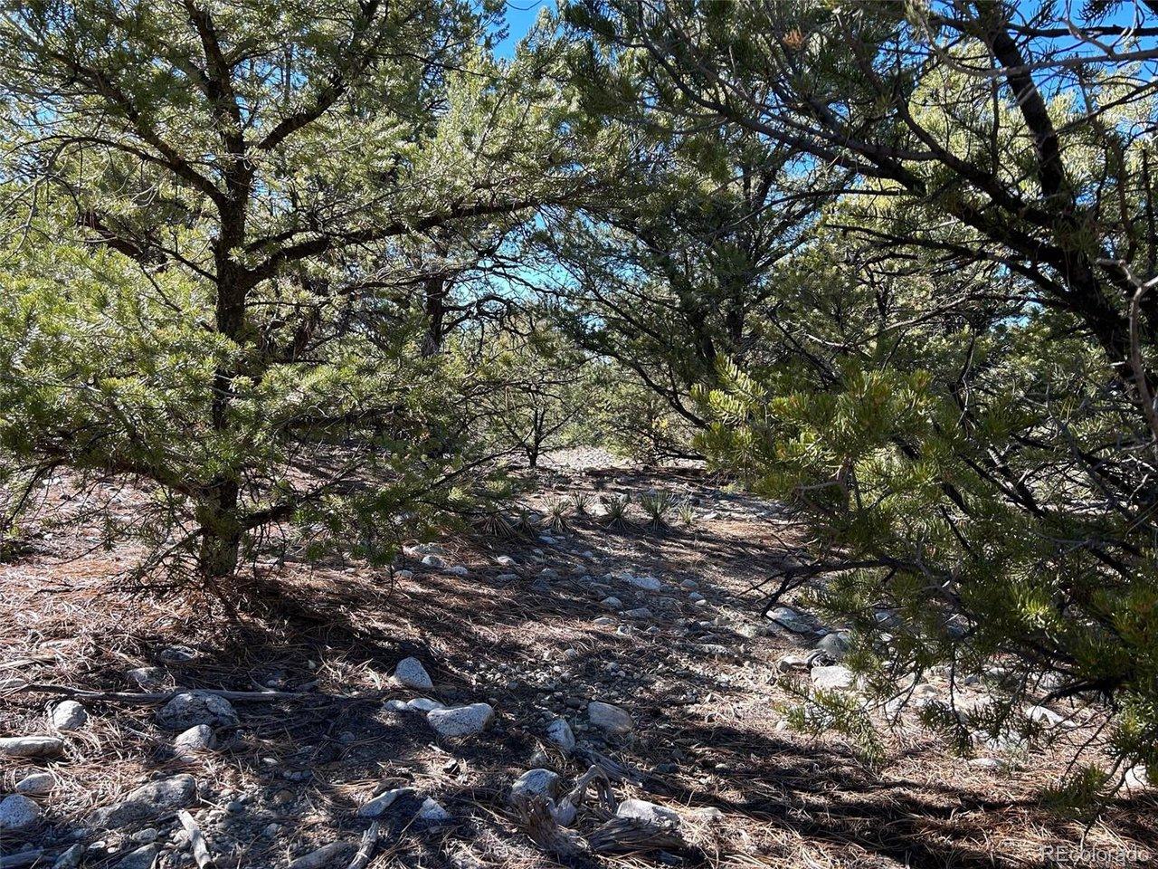 Image 4: Located in the middle of the property, there are plenty of places for shaded areas. Love all the different rocks!! Image 4: Located in the middle of the property, there are plenty of places for shaded areas. Love all the different rocks!!