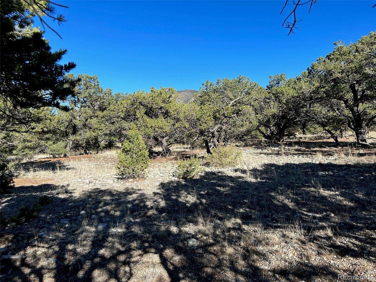 Image 1: Located alongside Mill Run Road, this is the perfect build spot along the corner of the property. Image 1: Located alongside Mill Run Road, this is the perfect build spot along the corner of the property.