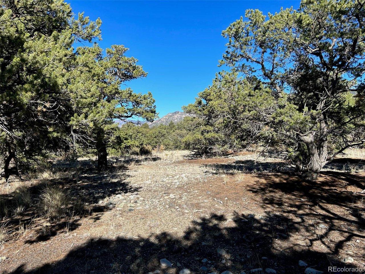Image 3: An open area located in the middle of the property with the Sangre De Cristo Mountains in the background. Image 3: An open area located in the middle of the property with the Sangre De Cristo Mountains in the background.