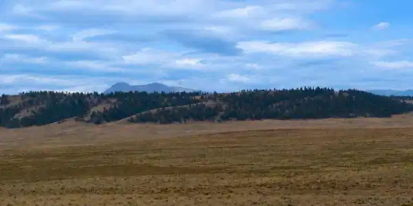 Image 4: View looking south west.