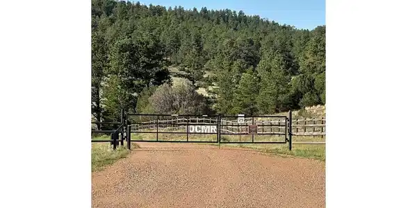 Image 4 Image 4