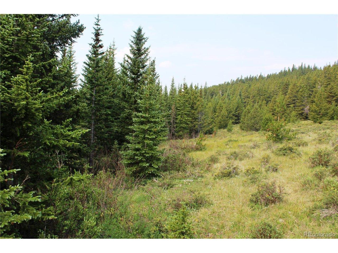 Image 4 Image 4