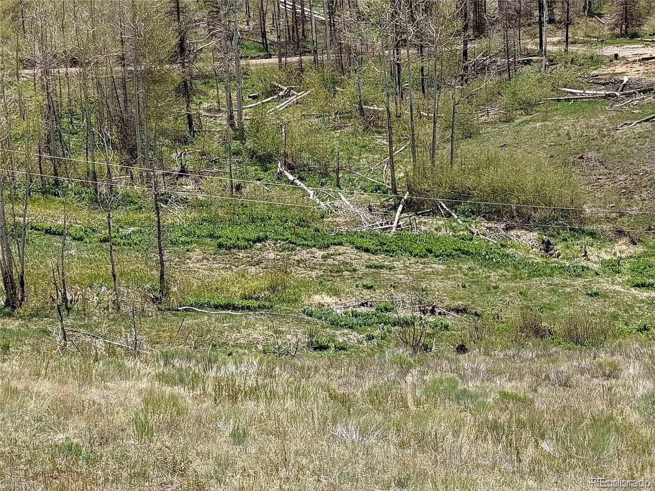 Image 3 Image 3