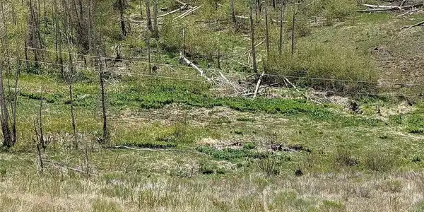 Image 3 Image 3