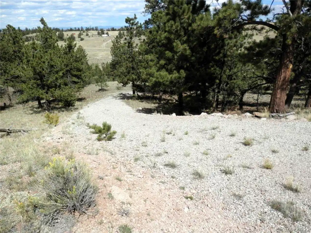 Image 1: View down the driveway through the trees to the campsite. Image 1: View down the driveway through the trees to the campsite.