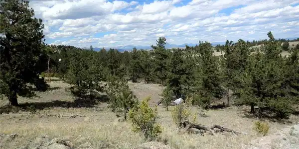 Image 2: View west over the lot and trees to the Mosquito Mountains in the background. Image 2: View west over the lot and trees to the Mosquito Mountains in the background.