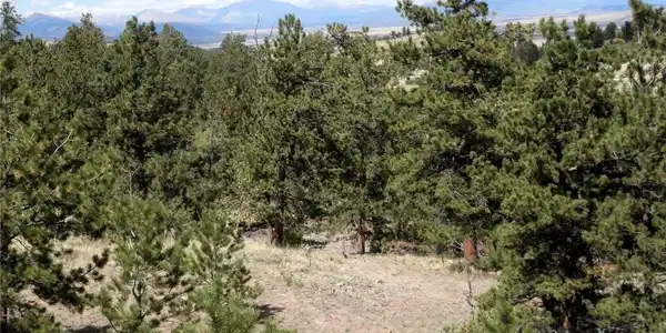 Image 3: Zoomed view to the Mosquito Mountain Range. from the property. Image 3: Zoomed view to the Mosquito Mountain Range. from the property.